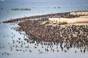 north carolina-Bearbeitet-Bearbeitet